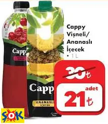 CAPPY VİŞNELİ/ ANANASLI İÇECEK MEYVE SUYU